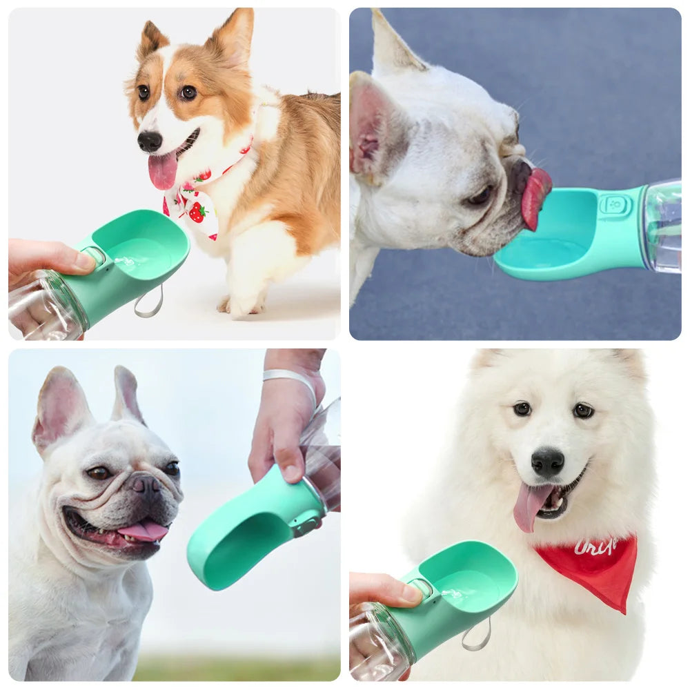HydraPup Bottle